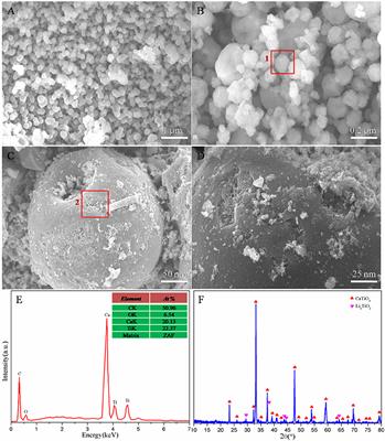 High Performance Composite Polymer Electrolytes Doped With Spherical-Like and Honeycomb Structural Li0.1Ca0.9TiO3 Particles